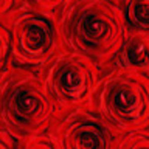 Meet your Posher, Mj